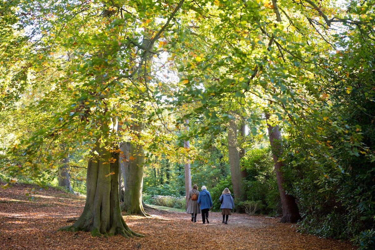 All Things Norfolk (@atnorfolk) on Twitter photo Proudly featuring so many great local independent businesses on allthingsnorfolk.com inc <a href="/museumbroads/">Museum of the Broads</a> <a href="/burevalley/">Bure Valley Railway</a> <a href="/pensthorpe/">Pensthorpe</a> <a href="/fairhavengarden/">Fairhaven Woodland and Water Garden</a> <a href="/midnorfolkrly/">Mid-Norfolk Railway</a> <a href="/tuddenhamlodge/">TUDDENHAM LODGE Griddle & Grill</a> <a href="/thefoxatlyng/">The Fox At Lyng</a> @redlopncromer <a href="/bressingham_s_g/">Bressingham Steam</a> <a href="/taverhamconserv/">TaverhamConservator</a> <a href="/norwichcamping/">Norwich Camping & Leisure</a> <a href="/woodgatepurdys/">Woodgate & Purdy's</a> Proudly featuring so many great local independent businesses on allthingsnorfolk.com inc <a href="/museumbroads/">Museum of the Broads</a> <a href="/burevalley/">Bure Valley Railway</a> <a href="/pensthorpe/">Pensthorpe</a> <a href="/fairhavengarden/">Fairhaven Woodland and Water Garden</a> <a href="/midnorfolkrly/">Mid-Norfolk Railway</a> <a href="/tuddenhamlodge/">TUDDENHAM LODGE Griddle & Grill</a> <a href="/thefoxatlyng/">The Fox At Lyng</a> @redlopncromer <a href="/bressingham_s_g/">Bressingham Steam</a> <a href="/taverhamconserv/">TaverhamConservator</a> <a href="/norwichcamping/">Norwich Camping & Leisure</a> <a href="/woodgatepurdys/">Woodgate & Purdy's</a>