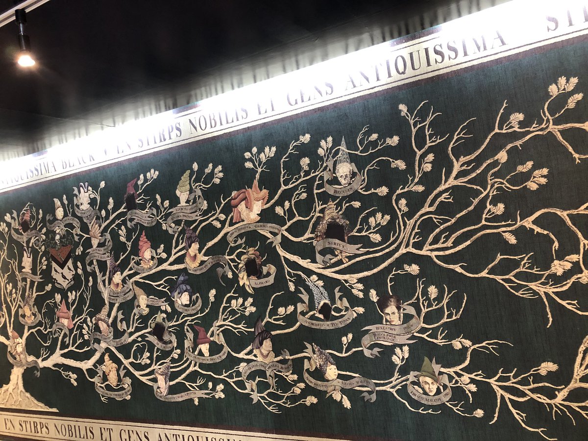 ミナリマ ハリーポッター ブラック家 壁紙(クロス) （ハリー・ポッター  