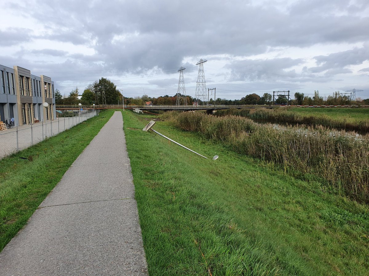 Robert Paul tweet media