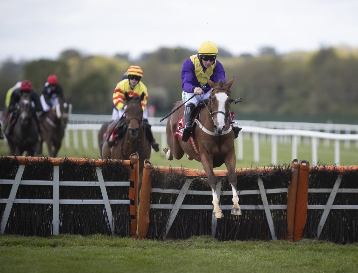 HRIRacing's tweet image. #TodaysTips🗒️ 
 
🏇Wexford➡️1st race➡️12.50pm
🏇Galway➡️1st race➡️1.05pm

Jumps action at both @WexfordRacecour and @Galway_Races this afternoon. Don't get caught out by the earlier start times! 

Our preview of both meetings is here👇#Foveros
 
bit.ly/2JxUTpW