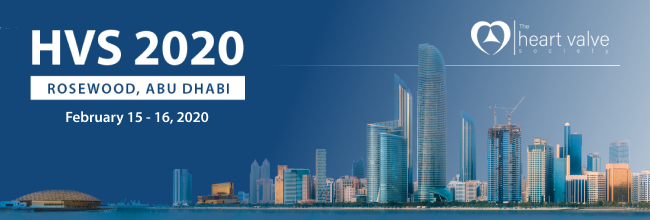 HVS2020 - Abu Dhabi, UAE
February 15-16, 2020
ABSTRACT SUBMISSION DEADLINE EXTENDED
Friday, November 8, 2019