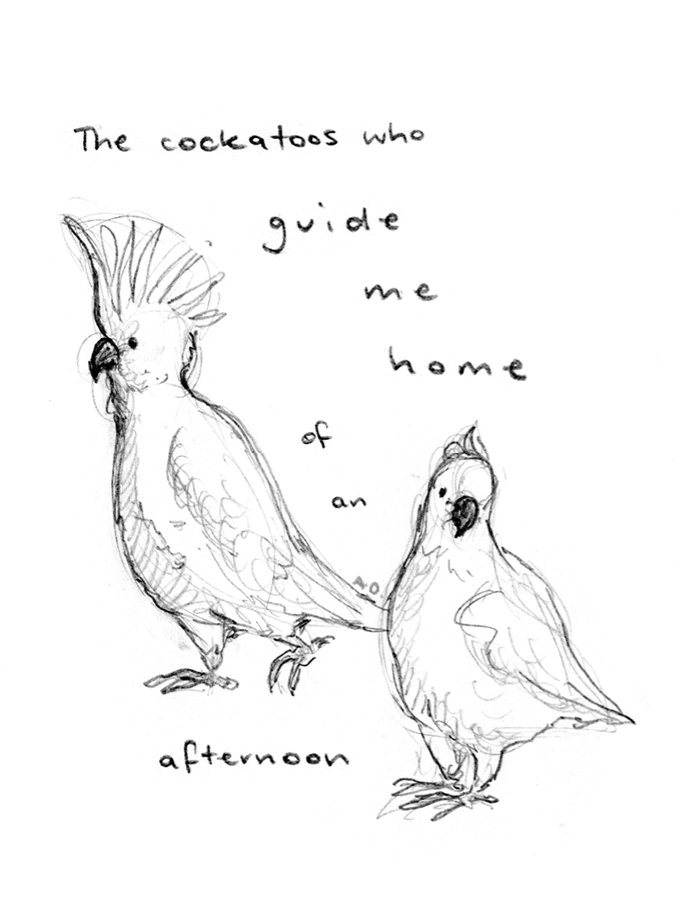 today is the last day of National Bird Week here in Aus, so please enjoy a few pages from a mini zine I made in 2015 called "Birds With Whom I Am Acquainted" 