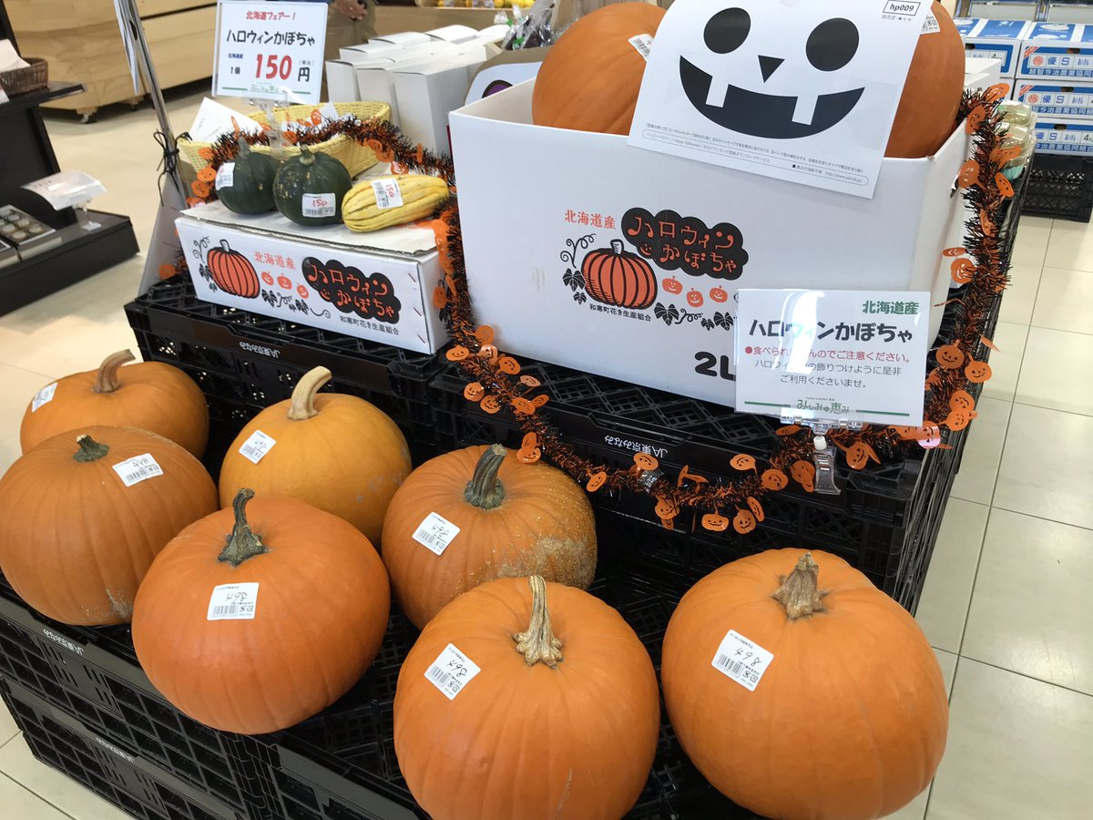 みなみの恵み على تويتر 観賞用のハロウィンカボチャまもなく終了です 小さいもので150円 大きいもので498円と大変お買い得になってますよ お家でくり抜いて自分だけのかぼちゃランタン作りに挑戦しよう