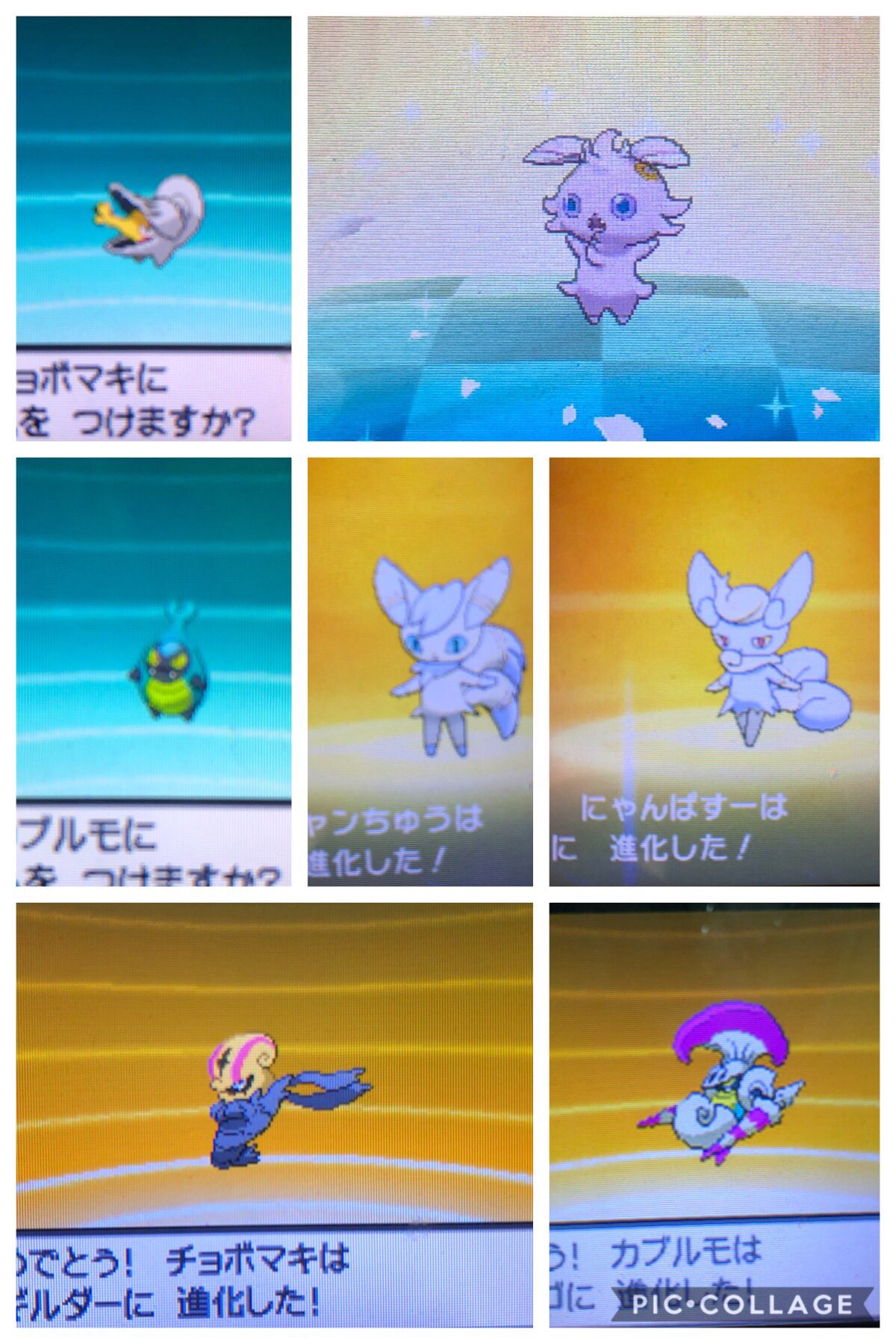 シュウああ 剣盾色図鑑ys ピチュー系 タマンタ系 ナゲキ ユキワラシ系 ニャスパー系 カブルモ系 チョボマキ系 確定してないけど T Co Mydlahw3r3 Twitter