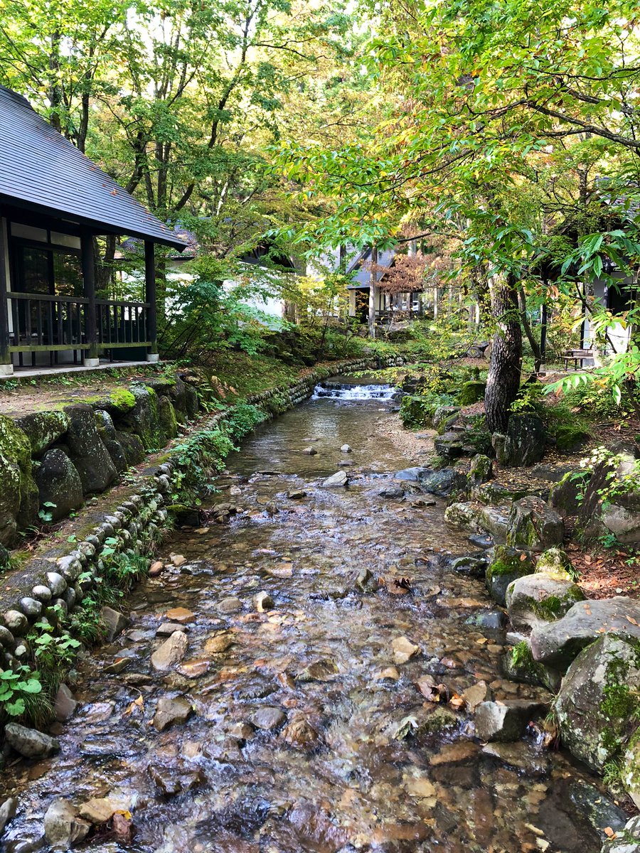 おたんこ茄子 我がホームひるがの高原キャンプ場 相変わらず川綺麗 ཫ 今シーズン予約なかなか取れなくて最初で最後なんだけどトイレさらに綺麗になってたし奥のサイトもトイレ新設するみたいで益々良くなるよ うれしー