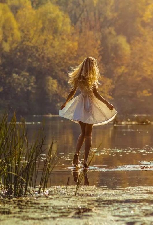 shailendra  jha tweet media