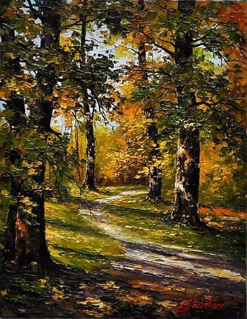 sophie woolley tweet media