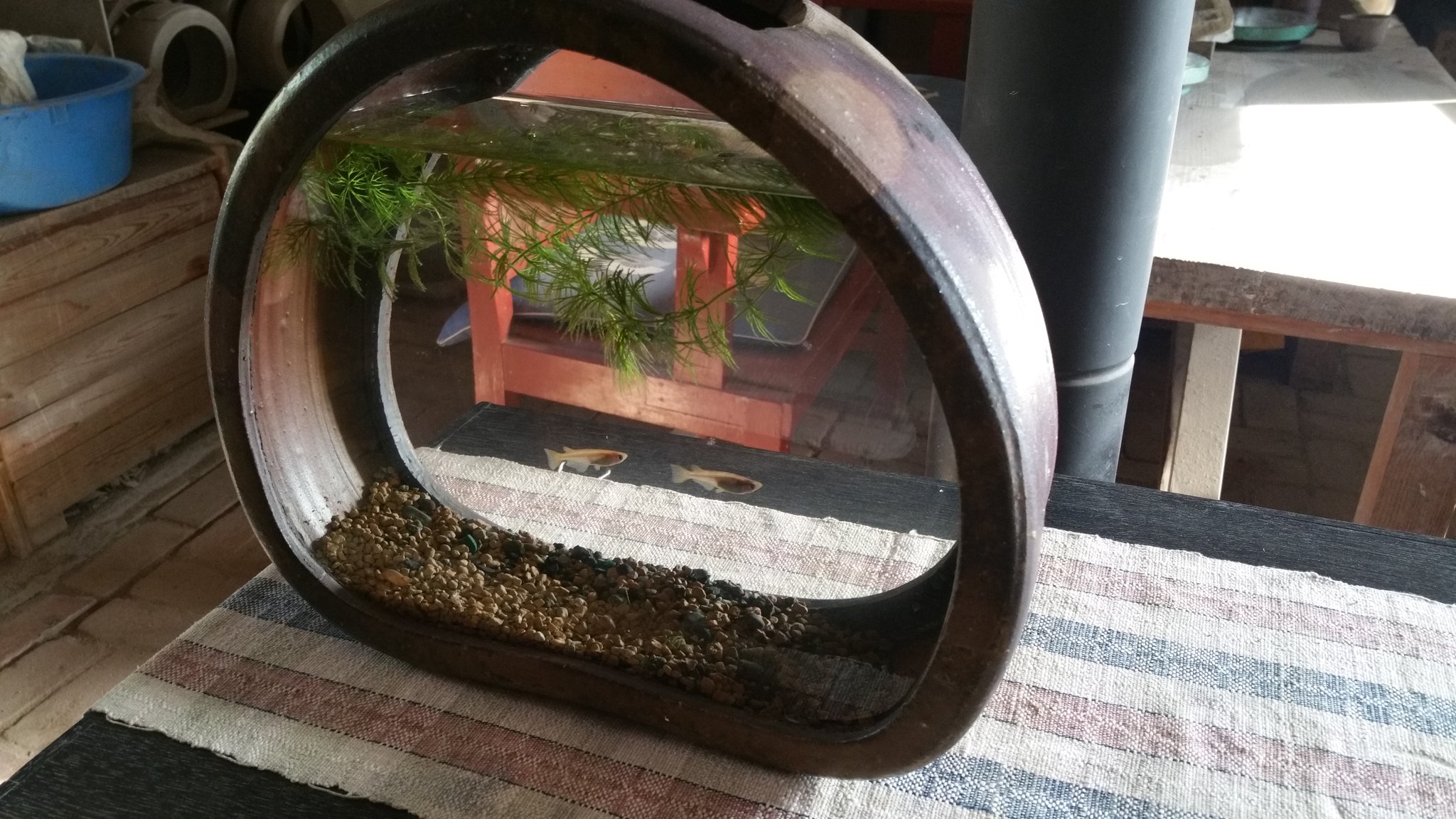 備前焼水槽アクア備前 - thebikeculture.com