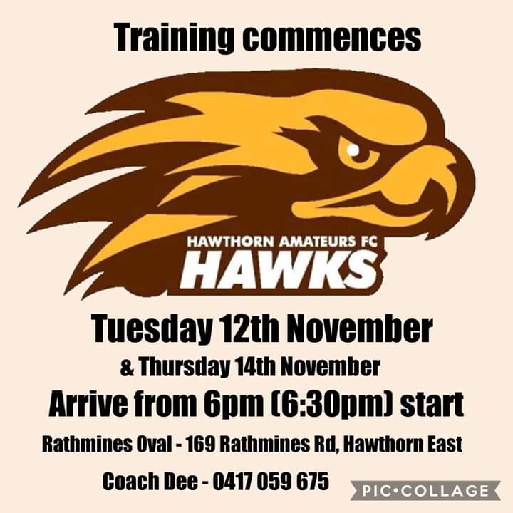Here we go!

Interested in playing #footy? Never played before? Perfect! Training starts in a couple of weeks. Come along, have some fun!

#Excited #vafawomen #womensfooty #girlsplayfooty #vafa #hawthorn #camberwell #kew #richmond