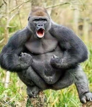 NandiJake's tweet image. Transfer window vs During the season