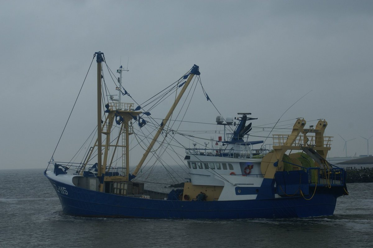 de z 115 , antja de vries ,