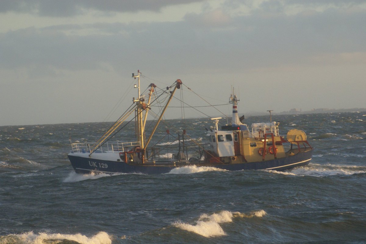 de uk 129 , johannes ,