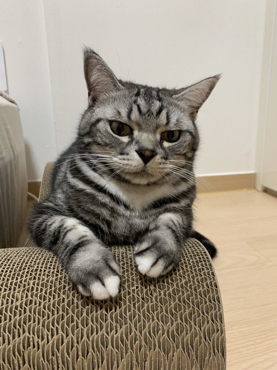 <a href="/sealitcokr/">씰잇 리터루</a> 녜 모야가 써보구 알려주께여