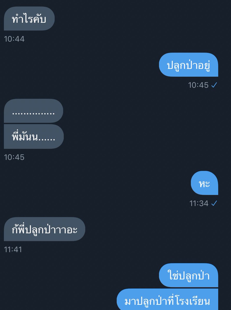 พี่แมวจะมาเพ้อถึงน้องแมวครับ tweet media