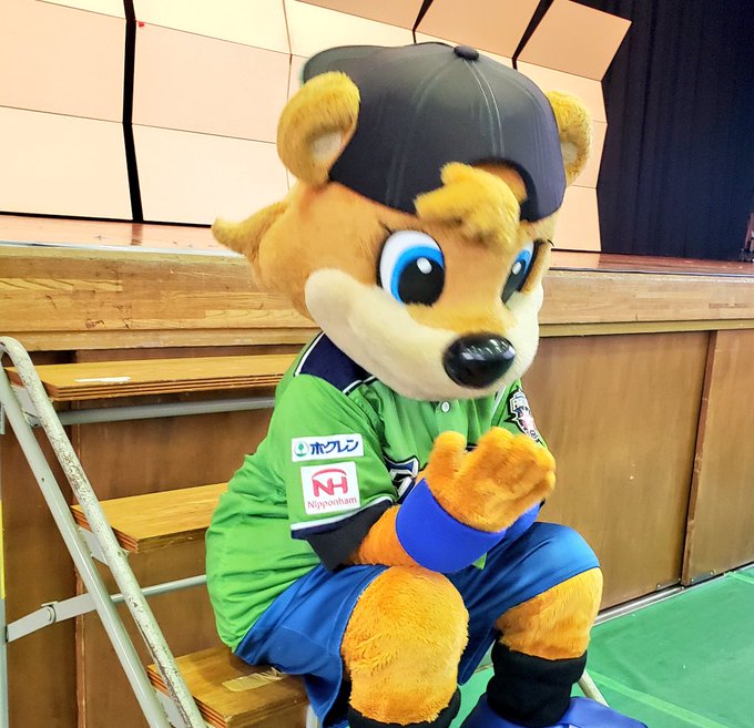 カビー ザ ベアー の評価や評判 感想など みんなの反応を1週間