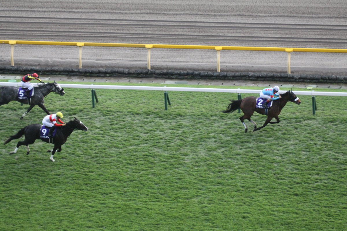 2019年 第160回 天皇賞（秋） 本田未央「全然違うじゃん！」 まとめ Togetter [トゥギャッター]