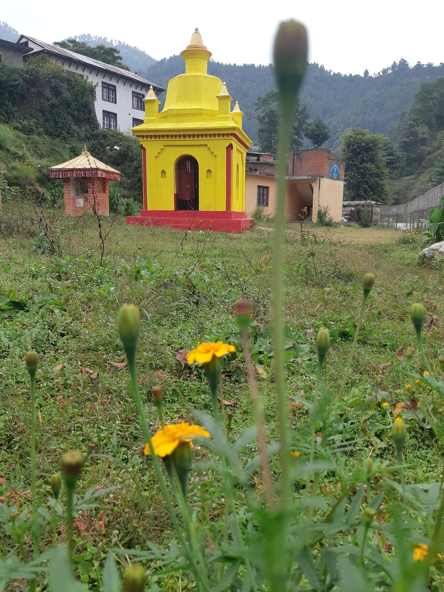 काडेभ्याकुर (@cnpaudel344) on Twitter photo 