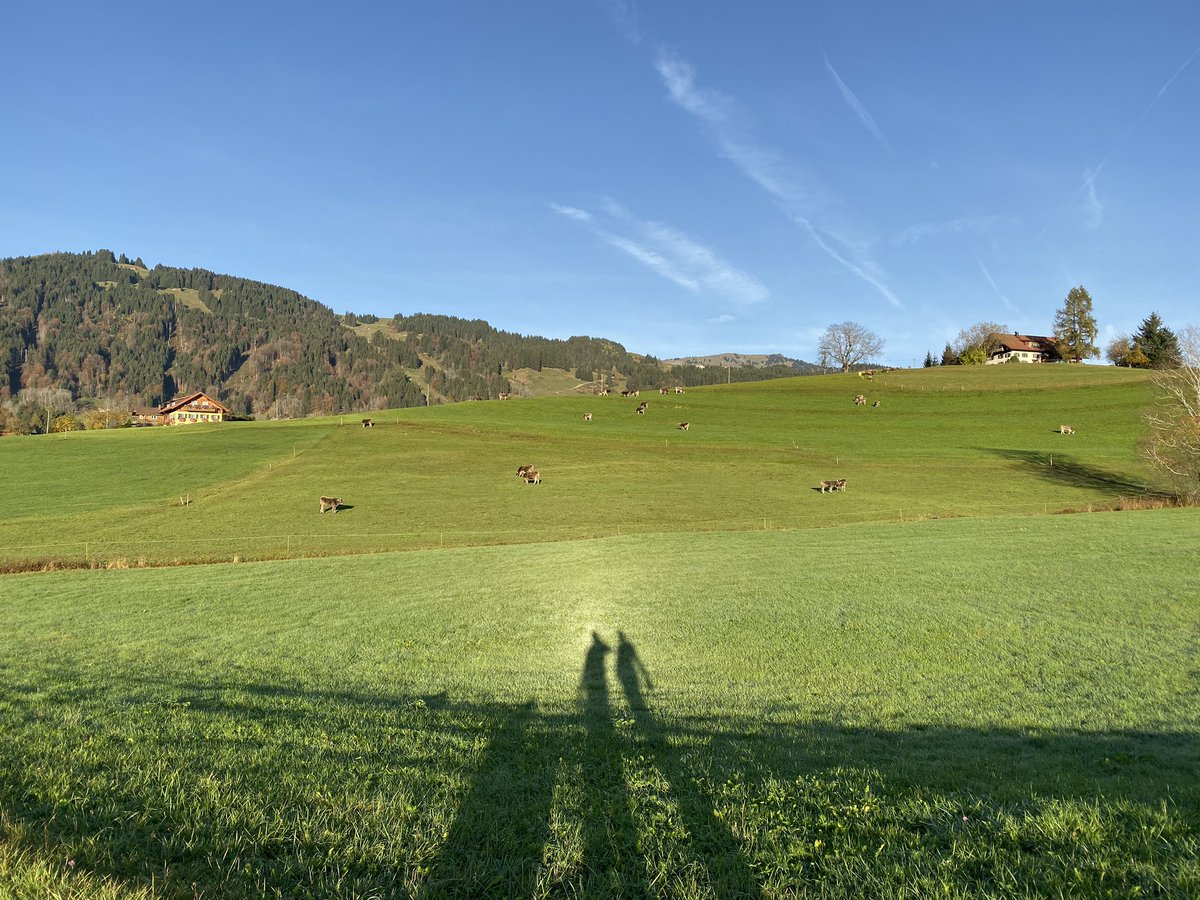 Guten Morgen aus dem Oberallgäu❣️
#sonnenaufgang #allgäu #herbst #ofterschwang #grünten #Weltcup2020
#goldeneroktober #daslebengeniessen