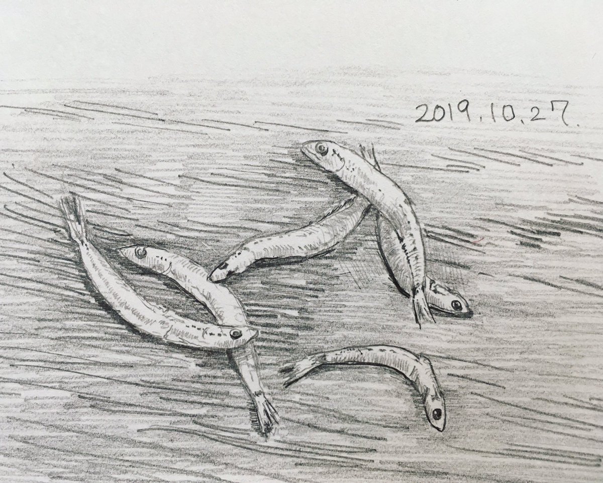 らっきー على تويتر 毎日デッサン計画 デッサン スケッチ 鉛筆画 美術 描いてみた 毎日デッサン計画 Dailydrawingplan Dessin Drawing Sketch Art Artwork Pencildrawing Pencil しらす 白太ちりめん Driedyoungsardines Shirasu Https T Co