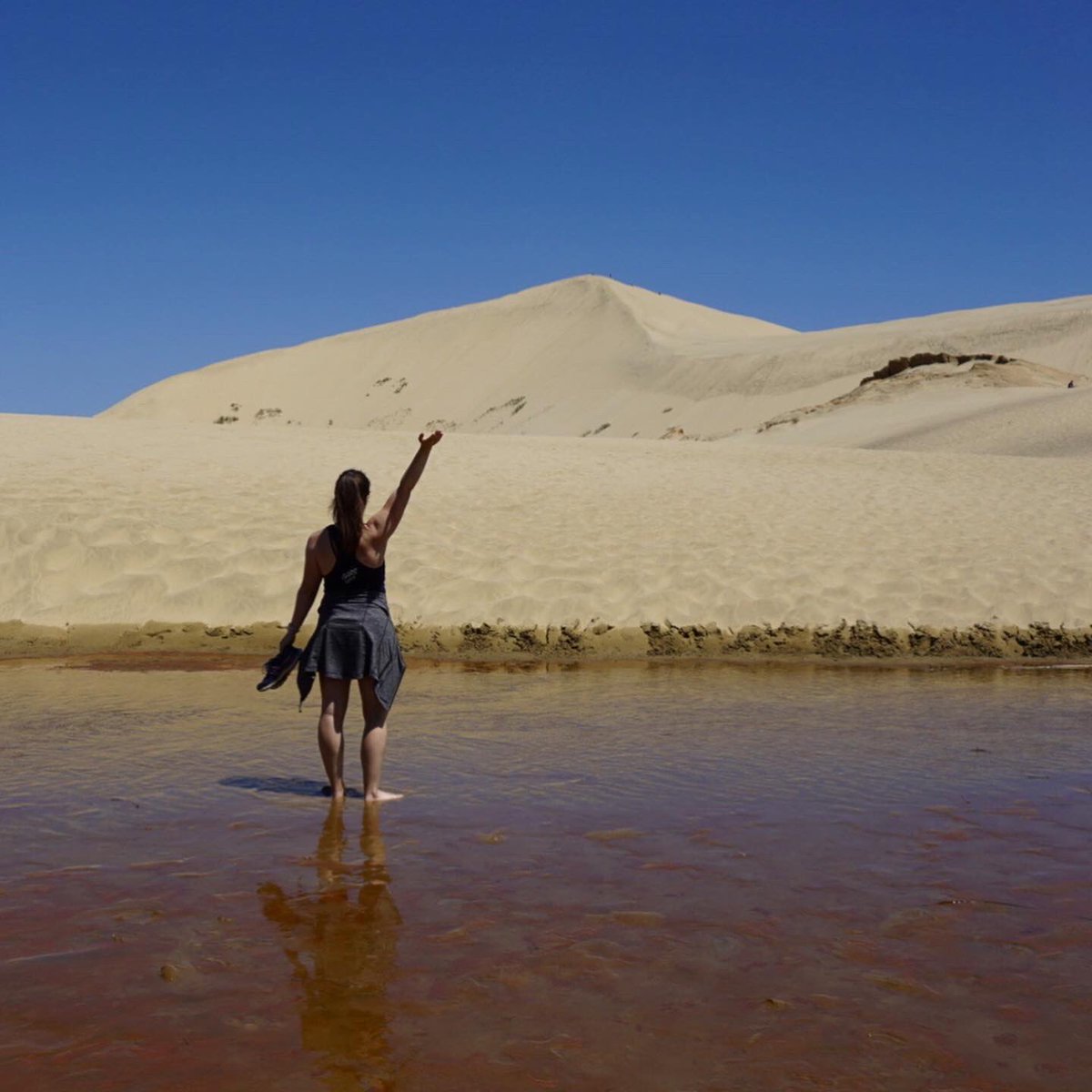 MikaelaStiver's tweet image. Spent my Sunday afternoon clambering up sand dunes... how about you? Happy #LabourWeekend, Kiwi friends ❤️🇳🇿