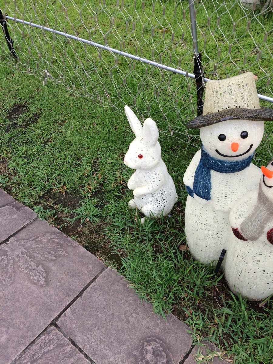 大西科学 Auf Twitter かわいいウサギさんの置物 と思ったら 近づいてよく見ると 体が糸でできている ストーン フリー の能力で作ったみたいなあれでした ウサギを作るにあたって この作り方にどういういいところがあるのかよくわからない