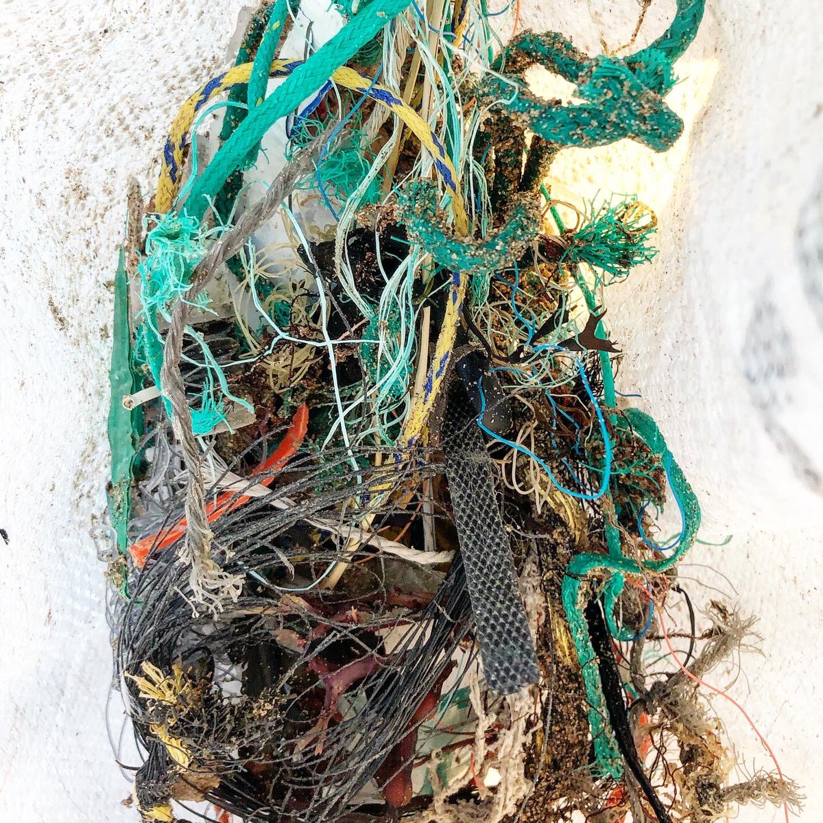 plasfreeisland's tweet photo. We kicked off the @sascampaigns Autumn beach clean. We collected lots of fishing gear, cotton bud sticks, wet wipes, sanitary towels, straws, balloons, bottle tops and plastic cutlery. @cyngormon https://t.co/GfHSOQaAk7