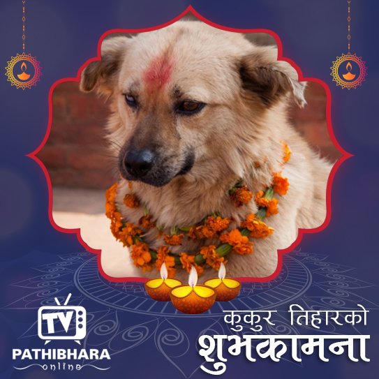 कुकुर तिहारको शुभकामना।