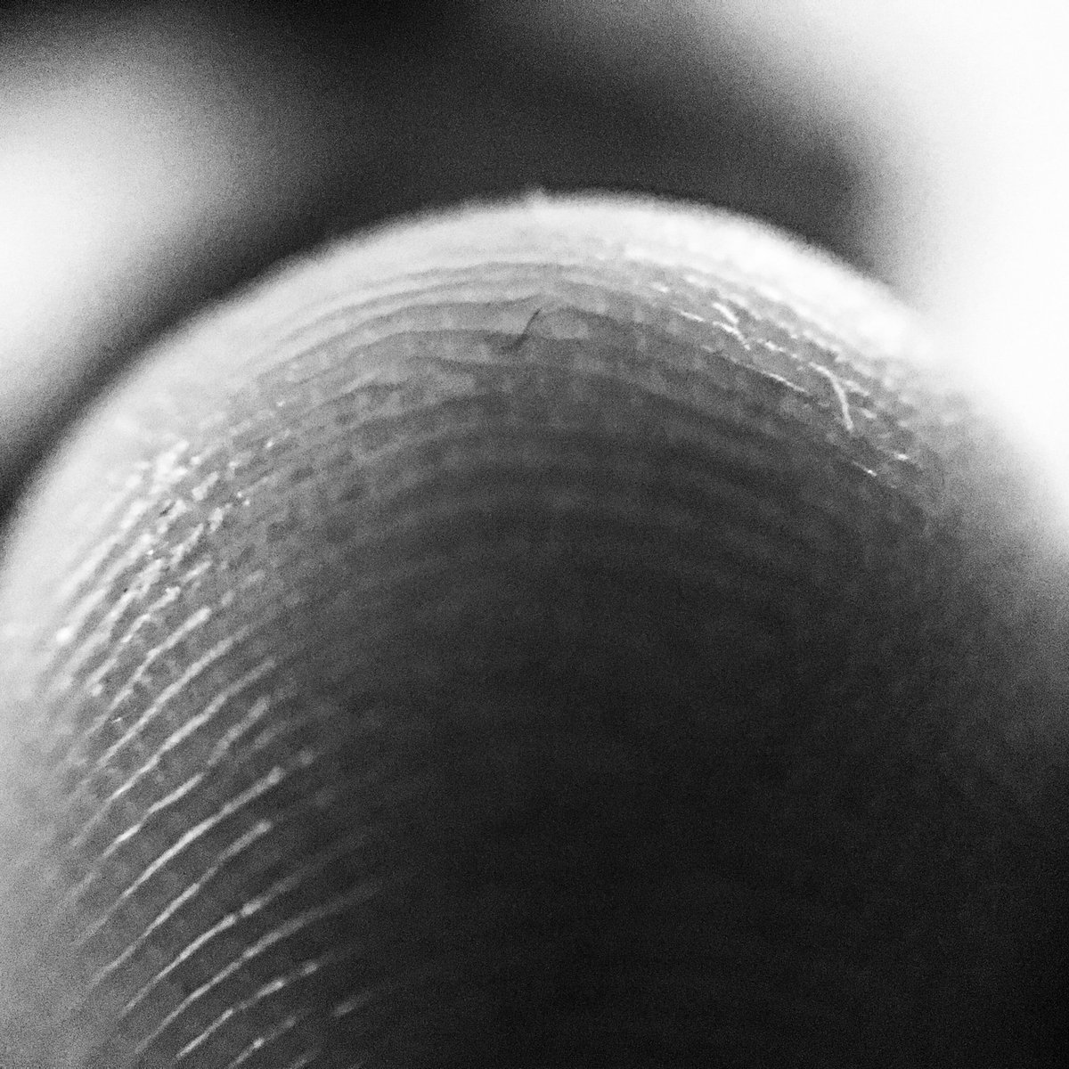 isabelgalvan70's tweet image. #Fall2019PGYFIU #Texture @vmonokian