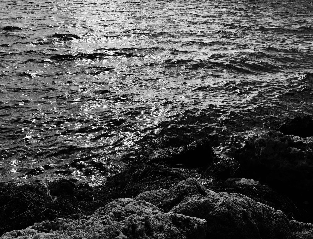 isabelgalvan70's tweet image. #Fall2019PGYFIU #Texture @vmonokian