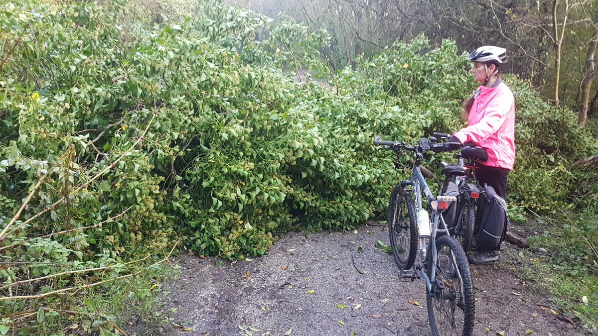 Beer 10km tweet media