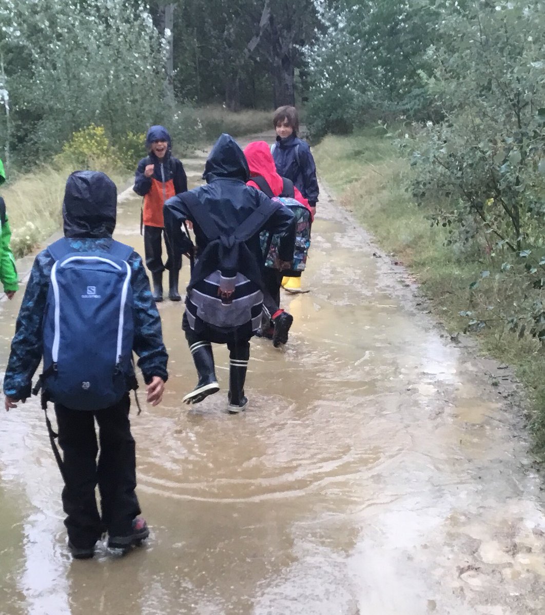 BSBCForest's tweet photo. Fun in muddy puddles this week! Year 2 Centipedes &amp; Year 3 Rhinos! #ForestSchool #outdoorlearning #muddyfun @BsbsForest @BSB_Barcelona @Muddyfaces #CognitaWay @CuffleyOutdoors https://t.co/hTFP5MGOne