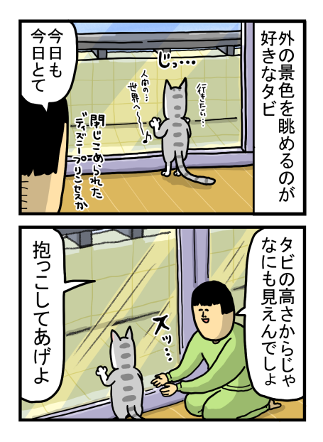 用済みの人間には無慈悲な猫

 