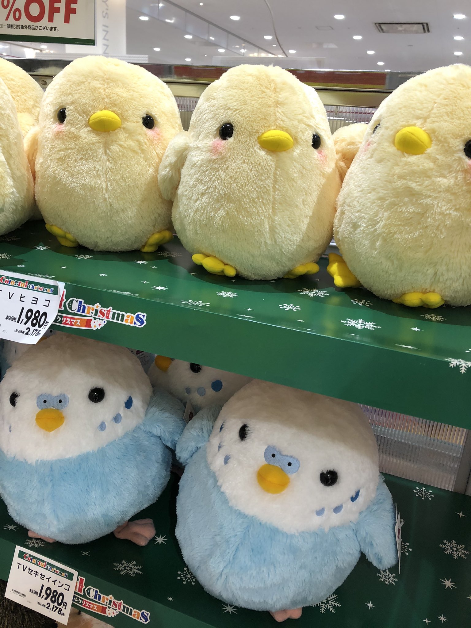 鳥ぬいぐるみ Twitter Search Twitter