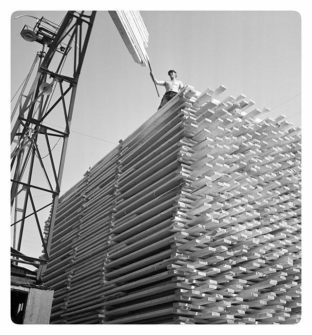 TrabajoViejuno's tweet photo. 📷 1940 Trabajador descargando tablones de madera #Suecia 🇸🇪 #historia #prl #seguridadysalud #fotosantiguas #workers #vintage #oldwork #safety #oldpics #oldphoto #industrial #history — view on Instagram https://t.co/g1KdmIrLrY https://t.co/3UFkWLlm1P https://t.co/ommiE4LgtA