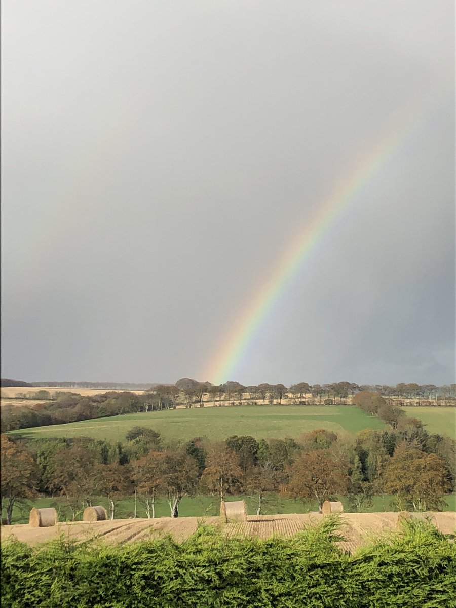 iain_robson's tweet image. This is so much nicer to look at than the football 🌈 #changesneeded #aberdeenfc