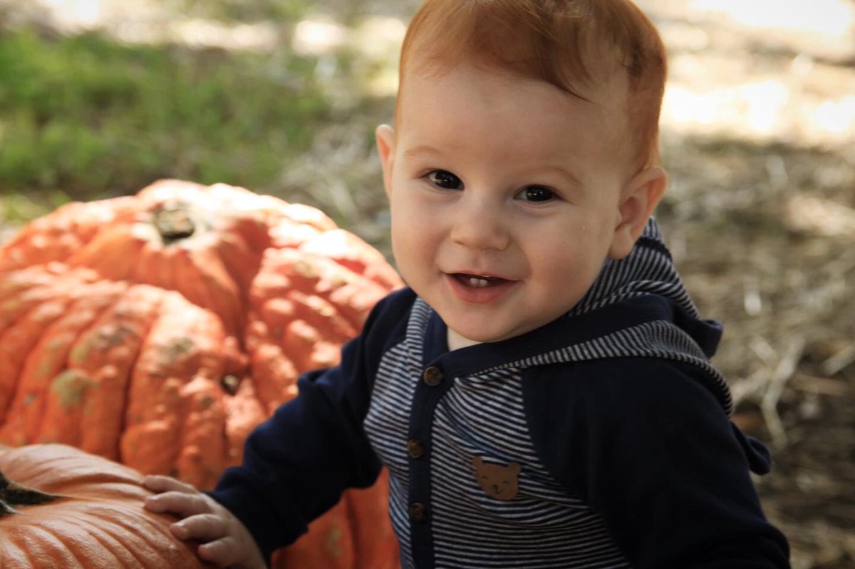 teachwilk's tweet photo. Obligatory pictures of a baby and pumpkins https://t.co/XT5ne021p8