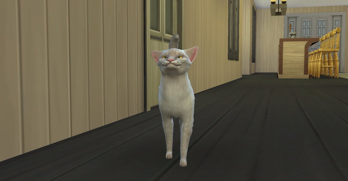 plumbobcast's tweet photo. And that's when we realized, he had in fact eaten our canary! (caption by #patreon #Simizen Liz)
#funday #fundaysunday #thesims #sims #thesims4 #sims4 #ts4 #simspodcast #undertheplumbob #plumbobpod #plumbobcast #gamingpodcast #alwaysbesimming #abs #ea #eagames #maxis https://t.co/BSWumDxaWr