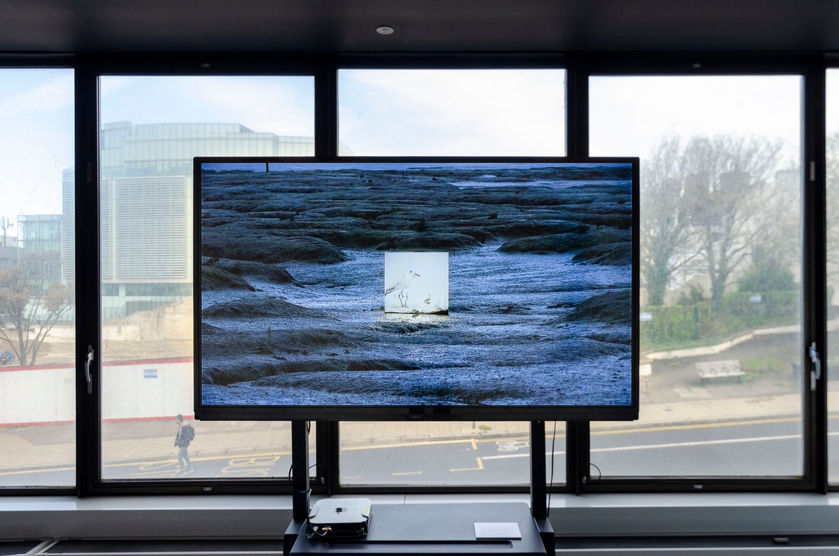 DreamyPlace_UK's tweet image. Whilst Brighton Digital Festival 2019 wrapped up on Friday for this year, remember that you still have until 1pm today to catch the Desire Lines exhibition @uniofbrighton Edward Street building: brightondigitalfestival.co.uk/events/arts-dr… #BDF19 #artsDRIVA #DesireLines (📷 Leonardo Lami)