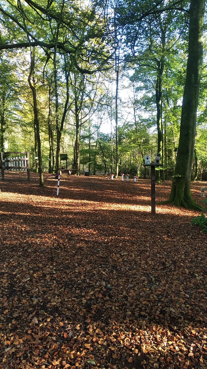 clineo99's tweet photo. Beautiful morning here in cootehill @EricasFairy @barrabest #cavan https://t.co/b4h1emx3CV
