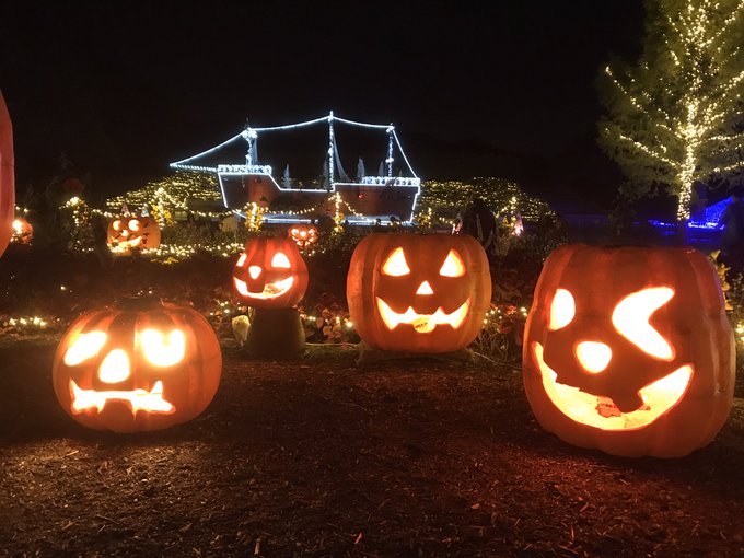 19 10 27 森林公園 森のハロウィンナイト19 ライトアップ イルミネーション ダー岩井のツーリング写真館 お出かけ日記