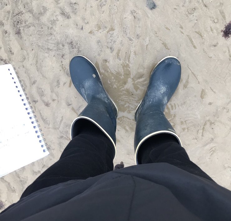 BastBdn's tweet photo. Reportage sur la pêche aux palourdes à La Baule. #PQRmonAmour #DansMonElement https://t.co/CLhmgmWKXb