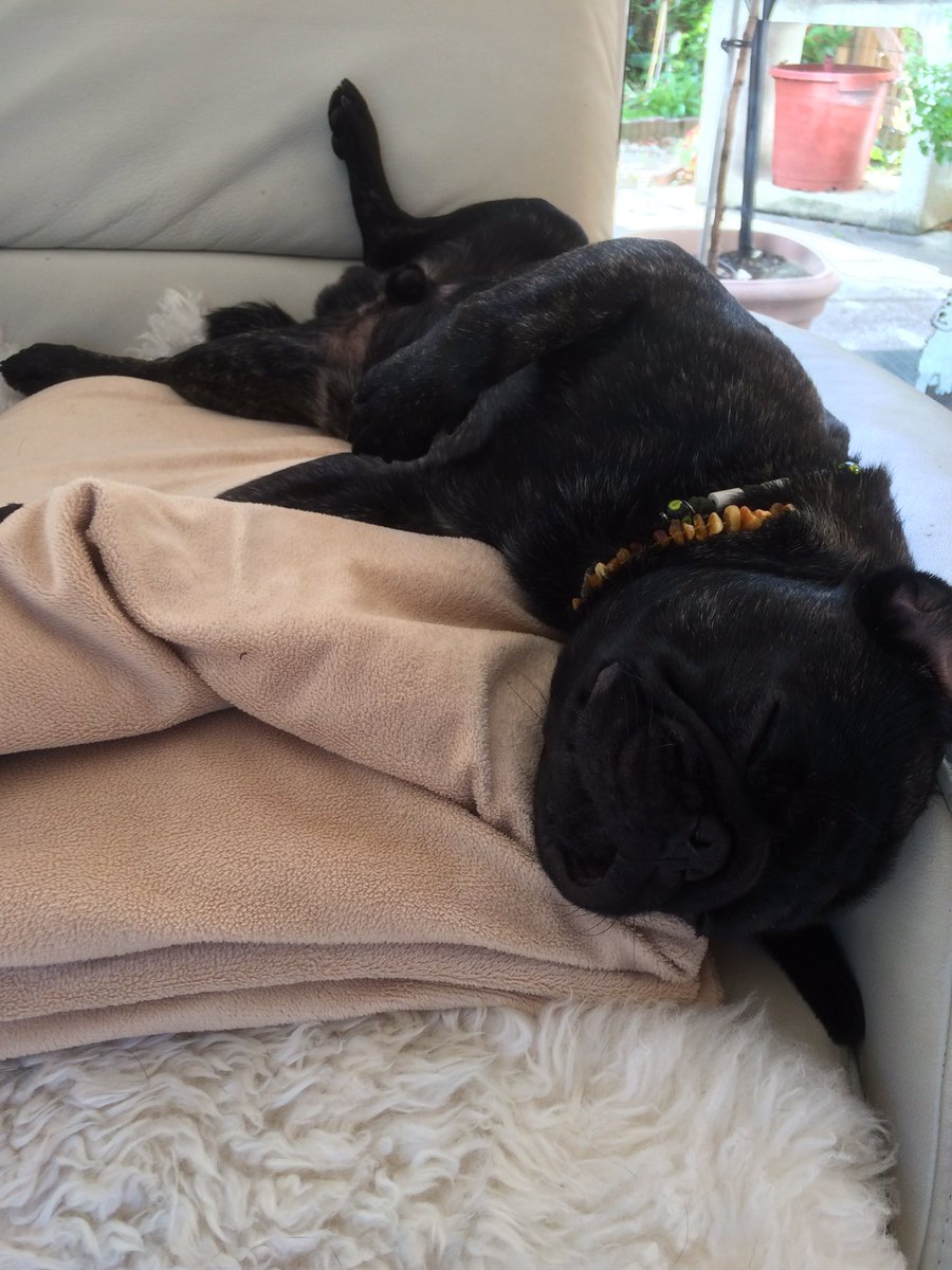 Gerade aufgestanden und direkt wieder ab ins Bett 🤪