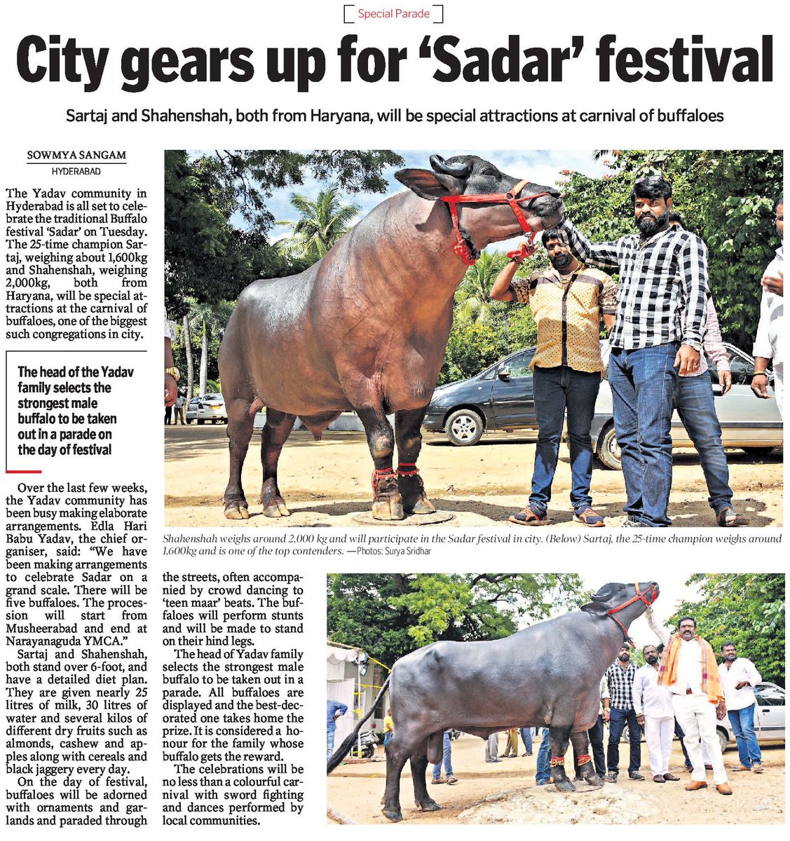 Sadar Buffalo Festival In Hyderabad