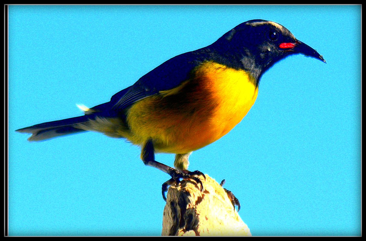 GOD CREATED ALL.....
google{nevis bill drake}    NEVIS BILL DRAKE  
youtube.com/watch?v=gQxfyZ…