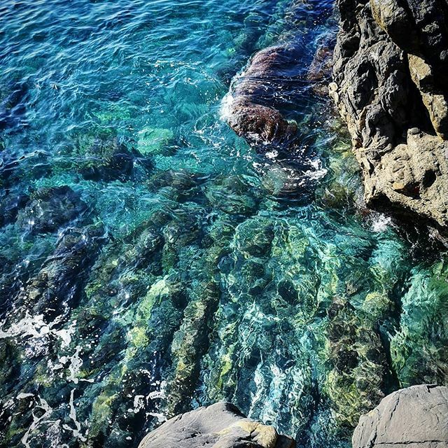 Magiko883's tweet photo. #zena #genova #liguria #natura #sea #mare https://t.co/Fr3wDy5ETf https://t.co/BmoEiNKzrh