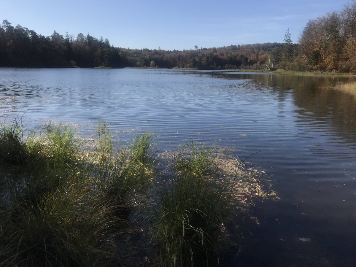 An den #Osterseen bei Seeshaupt