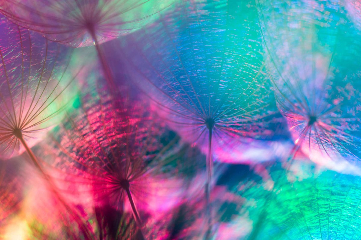 AgenceHouseOff's tweet image. Monde en pleine évolution, ne soyez pas largué(e)s  
Collaborer avec House Off pour être capable de comprendre, de profiter et de surfer sur ce tsunami des changements.
Ce que vous avez appris hier n’est plus valable aujourd'hui

#HOUSEOFF #PATRICKTOMAS #WILLIAMARLOTTI