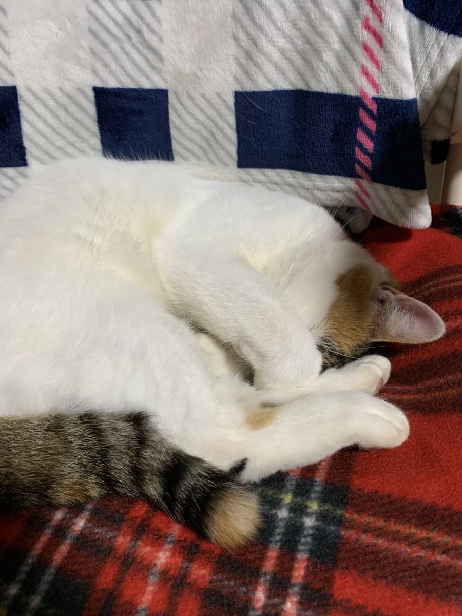 waradise's tweet photo. まぶしっ。 https://t.co/4P8whP2Hb3