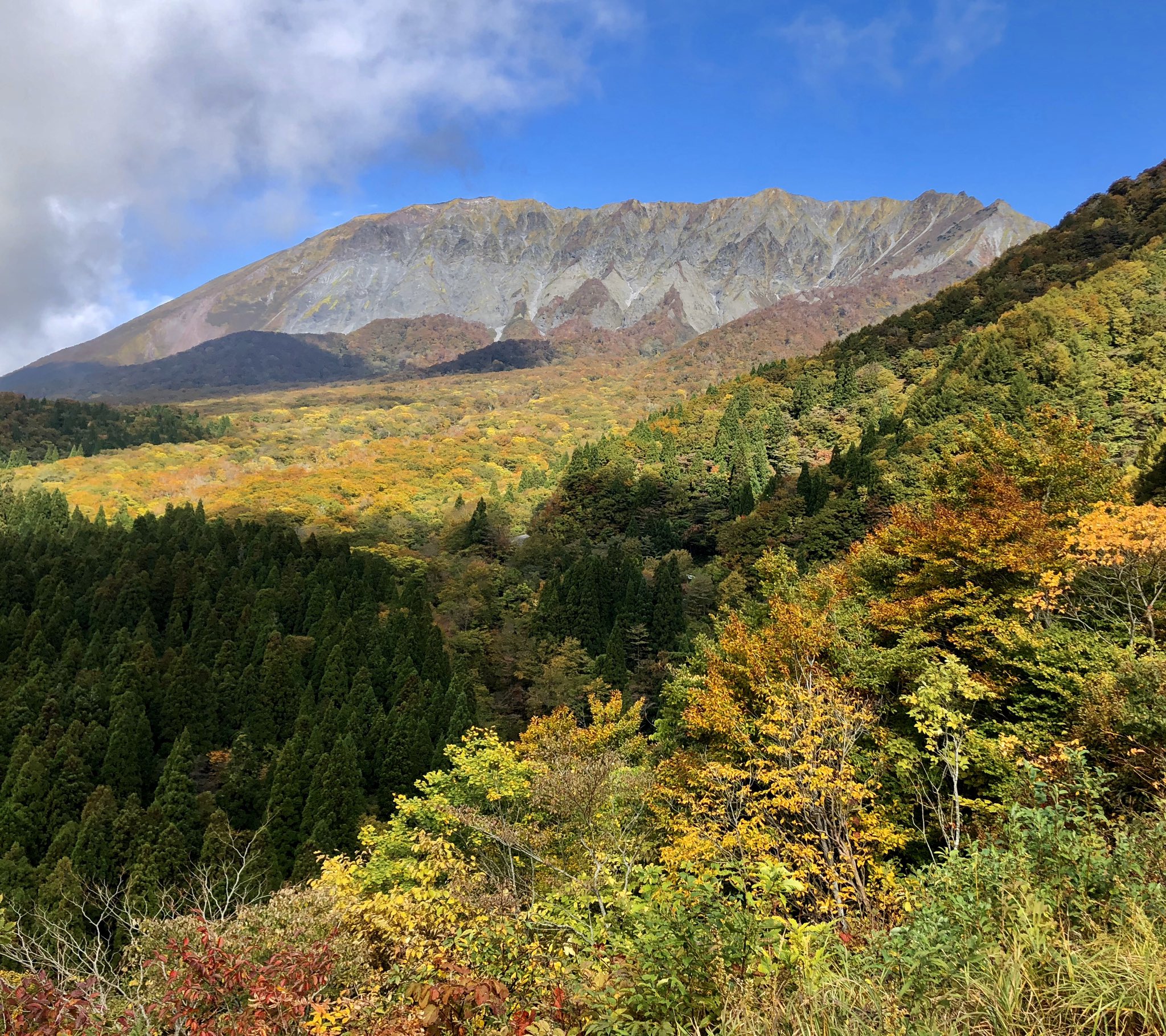 中国地區紅葉最新消息 每日更新 Japan Travel 日遊情報網