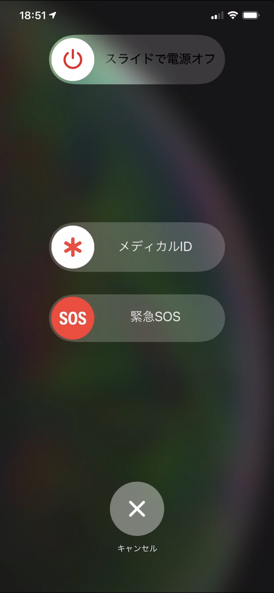 一陸斗 りっくん ヘルスケアでメディカルid登録すると 何かあった時に緊急連絡先とか血液型とか必要な情報誰でも見れる からおすすめです ただしロック解除せず見れるので注意も必要 俺は臓器提供も許可してる T Co Txscz6jnck Twitter